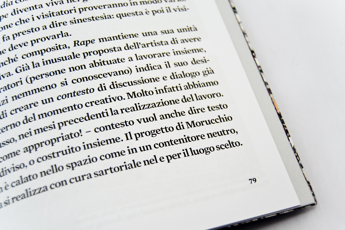 The-Rape-of-VeniceAndrea-Morucchio-006 