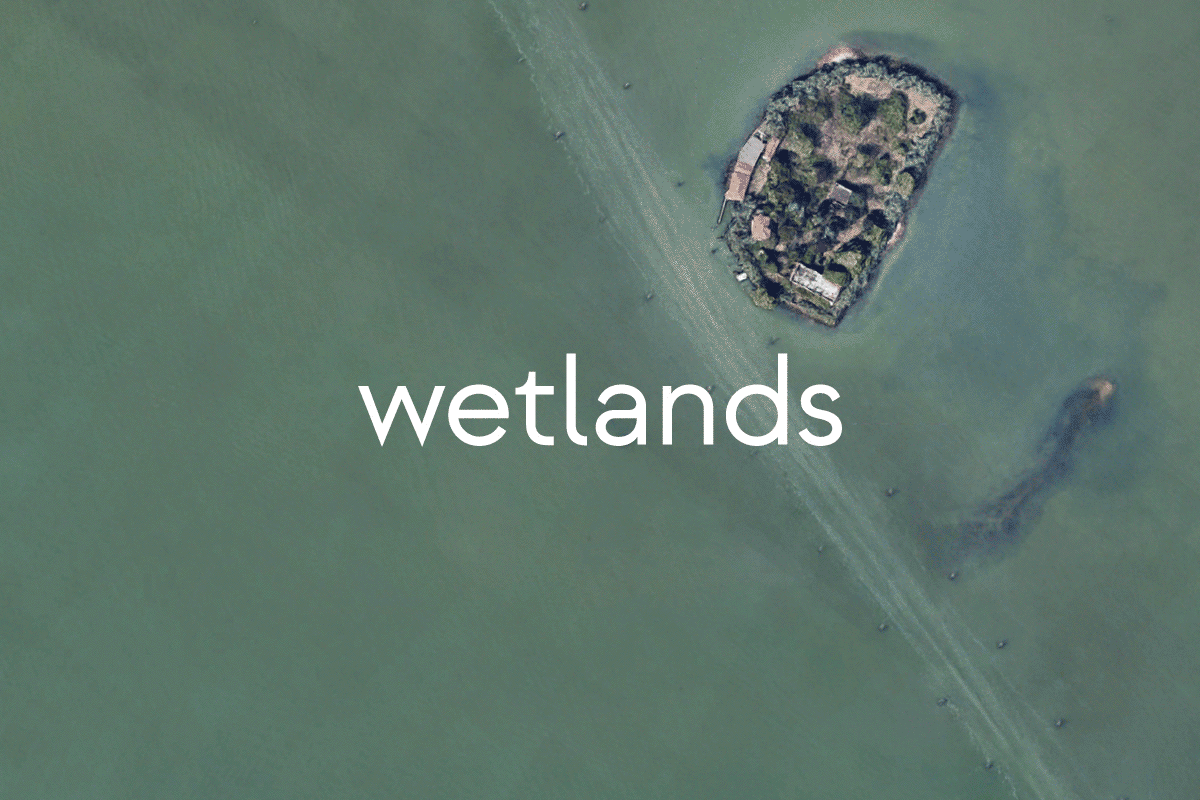 Wetlands-Books-001 
