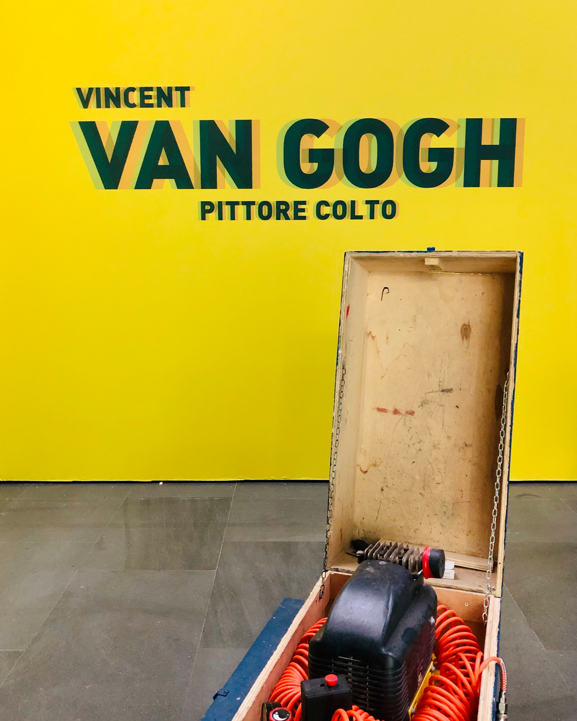 Vincent-Van-GoghPittore-colto-003 