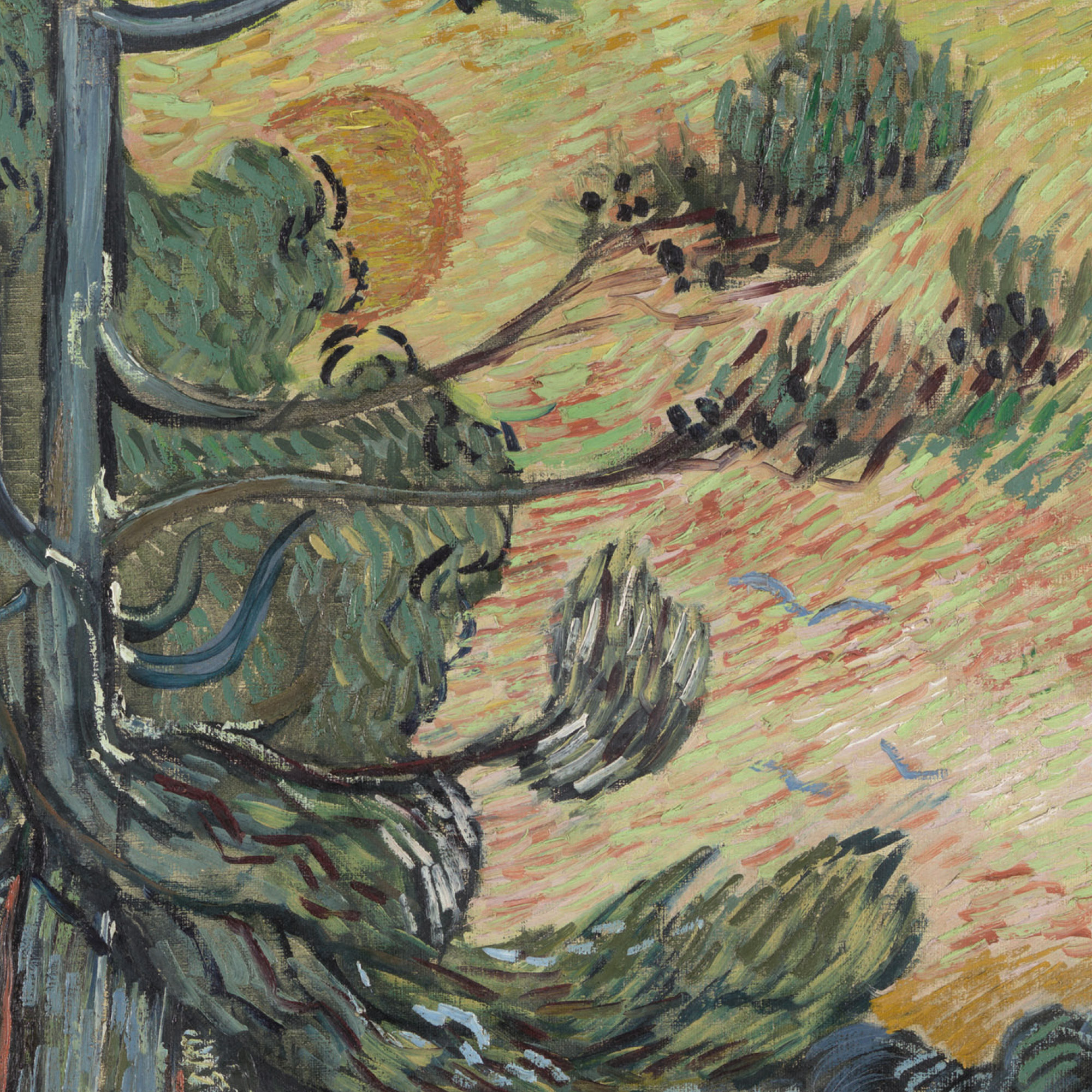 Vincent-Van-GoghPittore-colto-004 