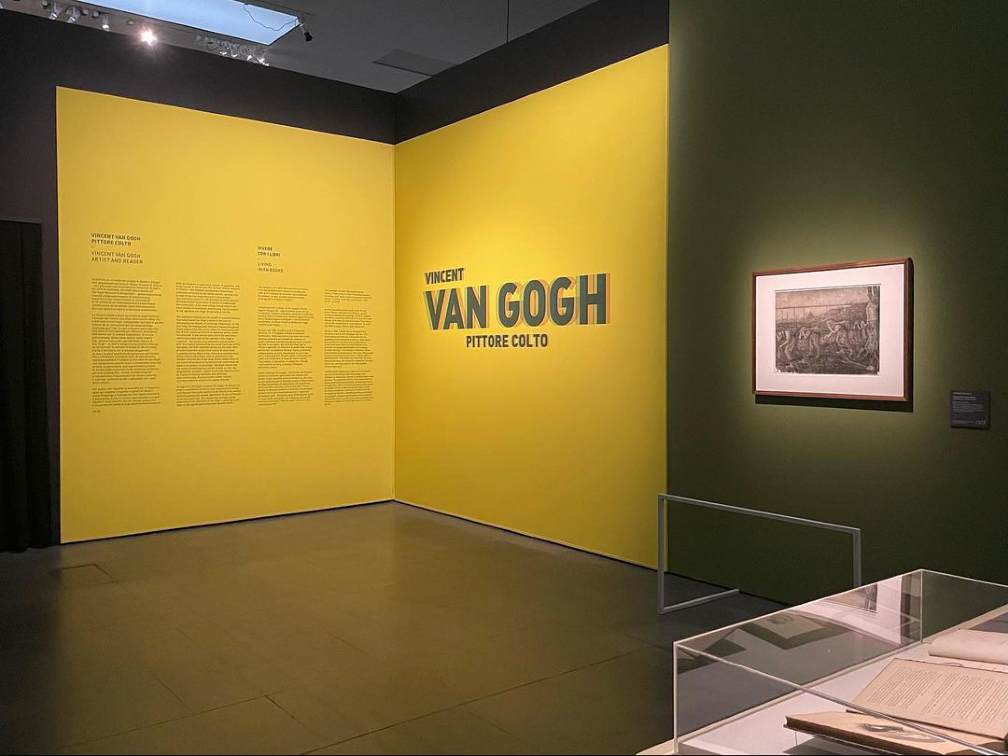 Vincent-Van-GoghPittore-colto-005 