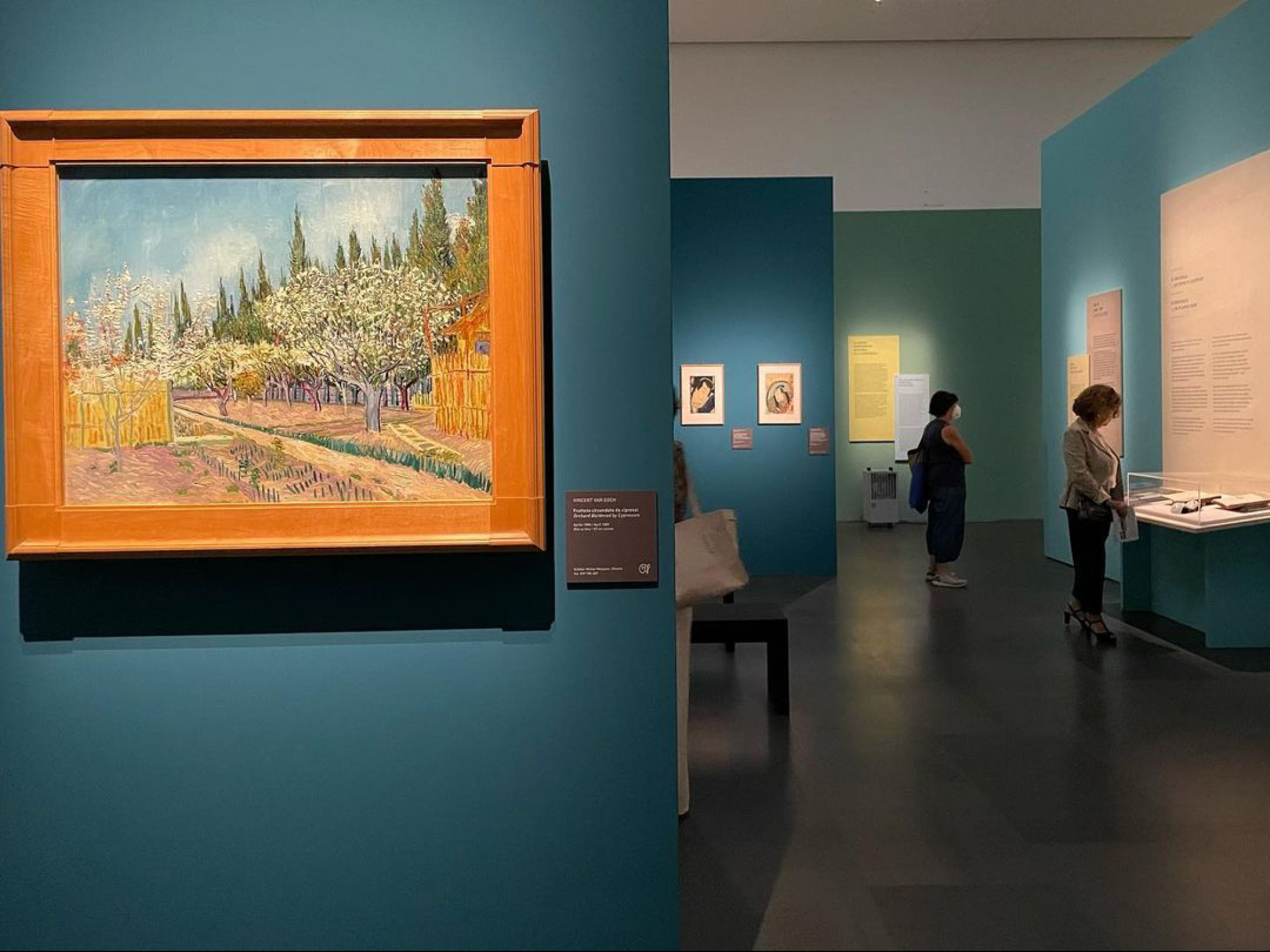 Vincent-Van-GoghPittore-colto-007 