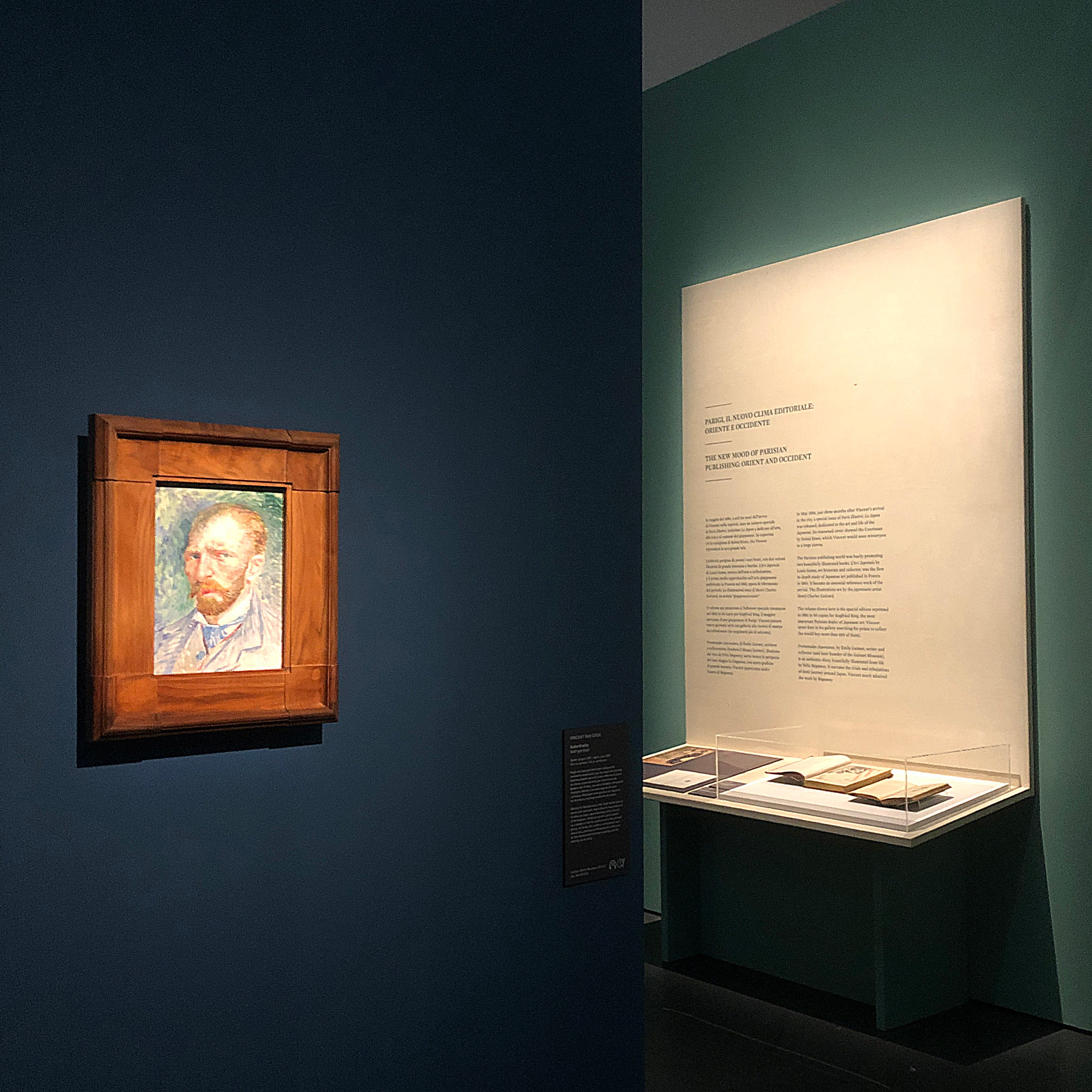 Vincent-Van-GoghPittore-colto-010 
