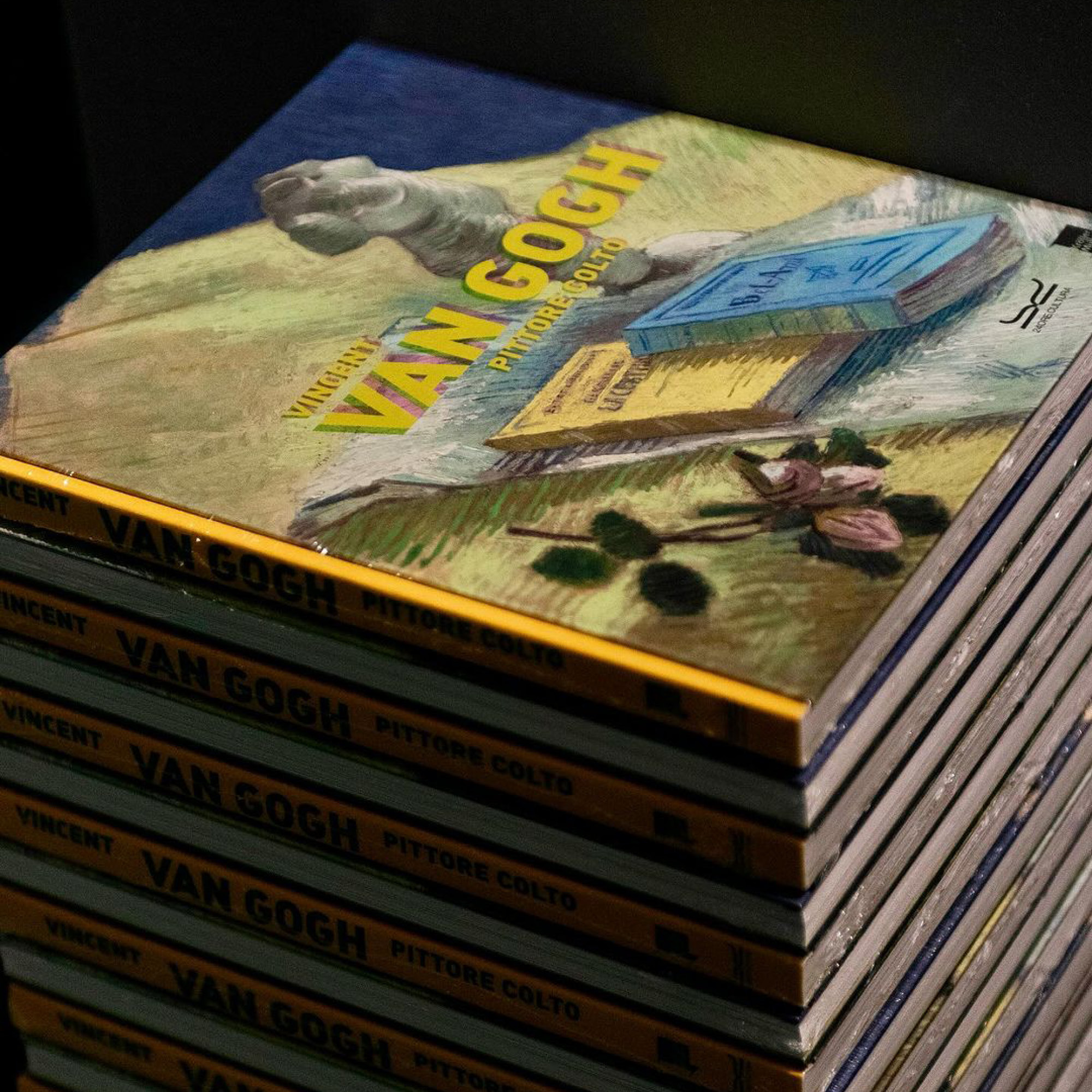 Vincent-Van-GoghPittore-colto-013 
