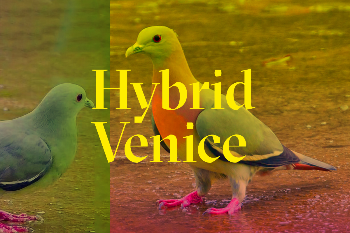 Hybrid-Venice-001 