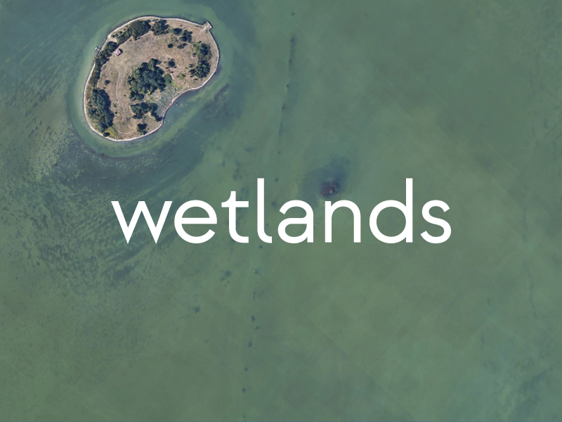 Wetlands-Books
