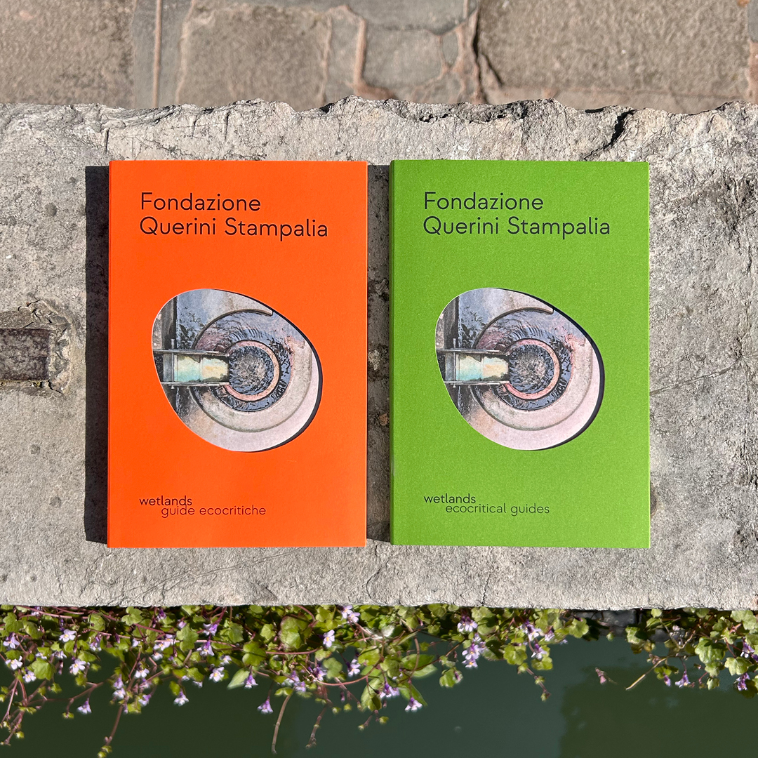 Wetlands-BooksGuide-Ecocritiche